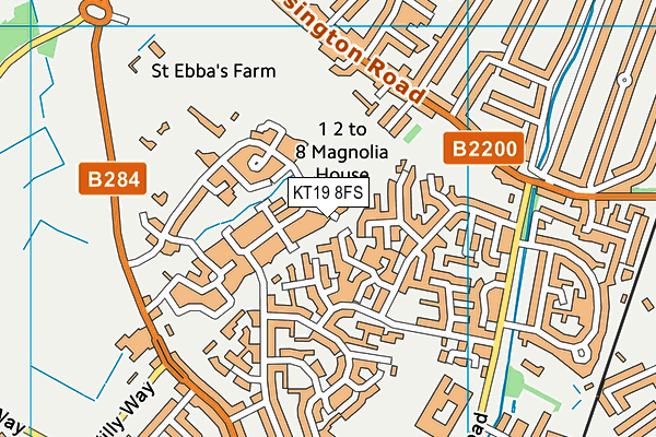 KT19 8FS map - OS VectorMap District (Ordnance Survey)