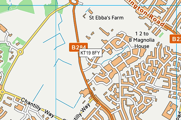 KT19 8FY map - OS VectorMap District (Ordnance Survey)