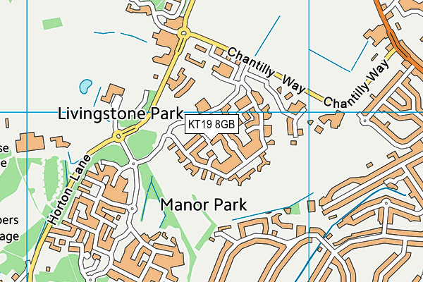 KT19 8GB map - OS VectorMap District (Ordnance Survey)
