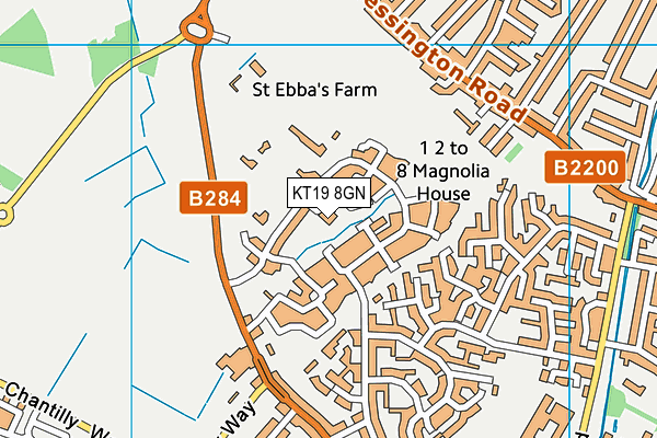 KT19 8GN map - OS VectorMap District (Ordnance Survey)