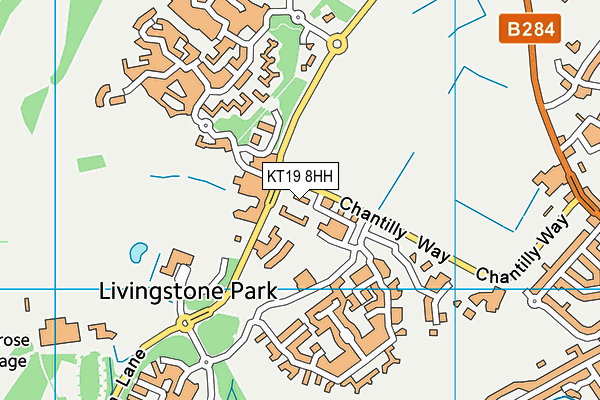 KT19 8HH map - OS VectorMap District (Ordnance Survey)