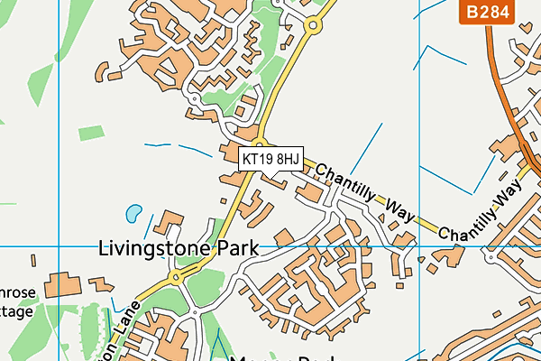 KT19 8HJ map - OS VectorMap District (Ordnance Survey)