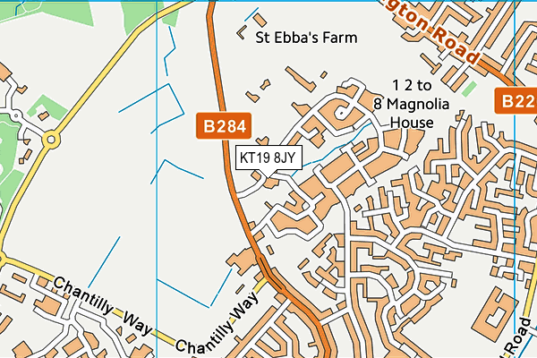 KT19 8JY map - OS VectorMap District (Ordnance Survey)