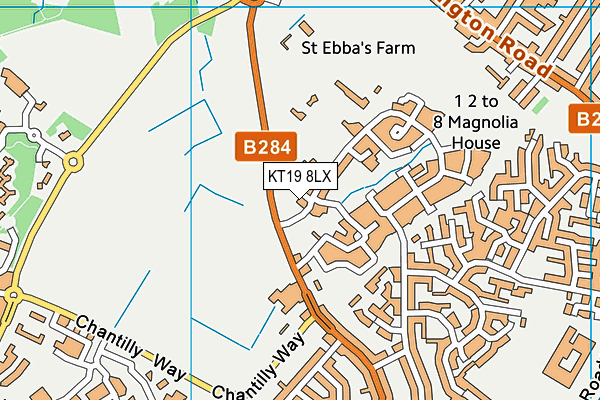 KT19 8LX map - OS VectorMap District (Ordnance Survey)
