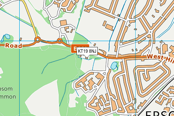 KT19 8NJ map - OS VectorMap District (Ordnance Survey)