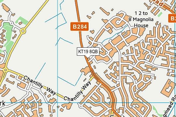 KT19 8QB map - OS VectorMap District (Ordnance Survey)