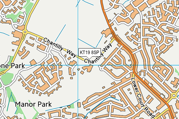 KT19 8SP map - OS VectorMap District (Ordnance Survey)