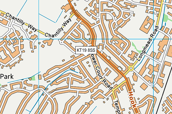 KT19 8SS map - OS VectorMap District (Ordnance Survey)