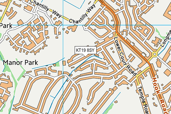 KT19 8SY map - OS VectorMap District (Ordnance Survey)