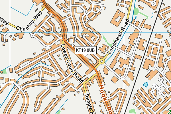 KT19 8UB map - OS VectorMap District (Ordnance Survey)