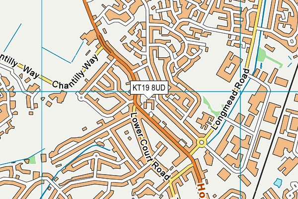 KT19 8UD map - OS VectorMap District (Ordnance Survey)