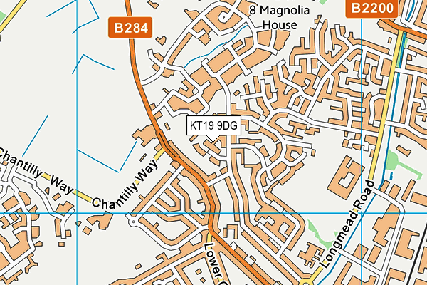KT19 9DG map - OS VectorMap District (Ordnance Survey)