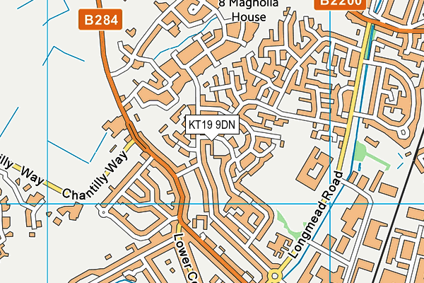 KT19 9DN map - OS VectorMap District (Ordnance Survey)