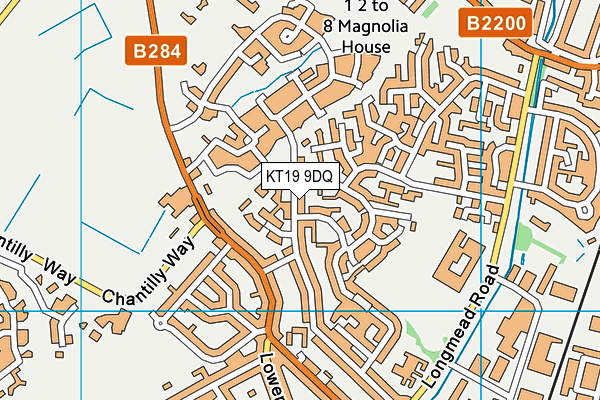 KT19 9DQ map - OS VectorMap District (Ordnance Survey)