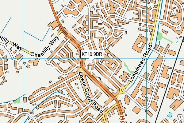 KT19 9DR map - OS VectorMap District (Ordnance Survey)
