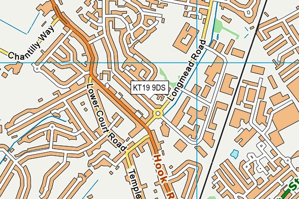 KT19 9DS map - OS VectorMap District (Ordnance Survey)