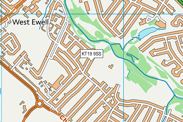 KT19 9SS map - OS VectorMap District (Ordnance Survey)