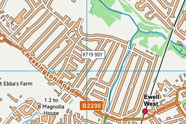 KT19 9SY map - OS VectorMap District (Ordnance Survey)