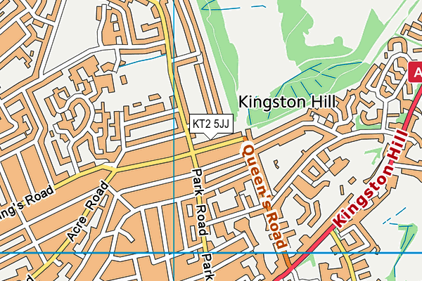 KT2 5JJ map - OS VectorMap District (Ordnance Survey)