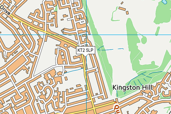 KT2 5LP map - OS VectorMap District (Ordnance Survey)