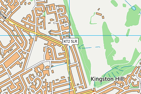 KT2 5LR map - OS VectorMap District (Ordnance Survey)