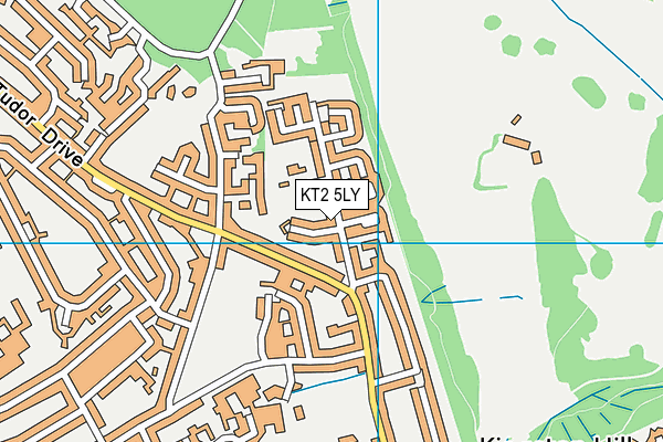 KT2 5LY map - OS VectorMap District (Ordnance Survey)