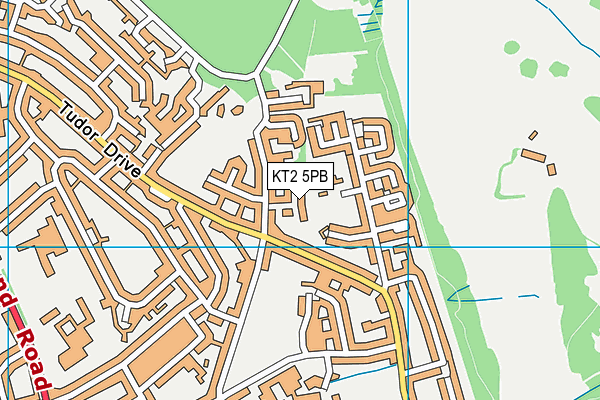 KT2 5PB map - OS VectorMap District (Ordnance Survey)