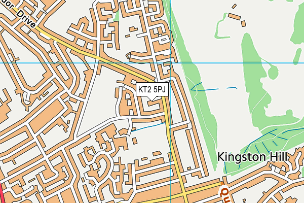 KT2 5PJ map - OS VectorMap District (Ordnance Survey)