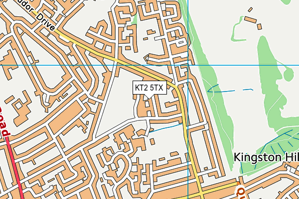 KT2 5TX map - OS VectorMap District (Ordnance Survey)