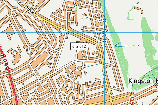 KT2 5TZ map - OS VectorMap District (Ordnance Survey)