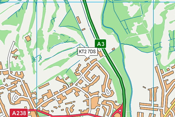 KT2 7DS map - OS VectorMap District (Ordnance Survey)