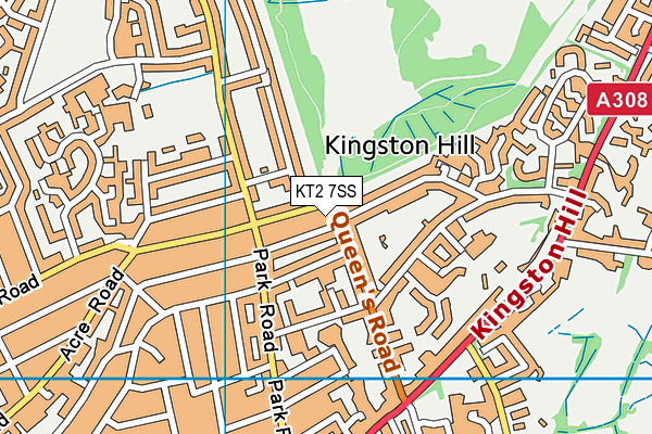 KT2 7SS map - OS VectorMap District (Ordnance Survey)