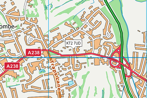 KT2 7UD map - OS VectorMap District (Ordnance Survey)