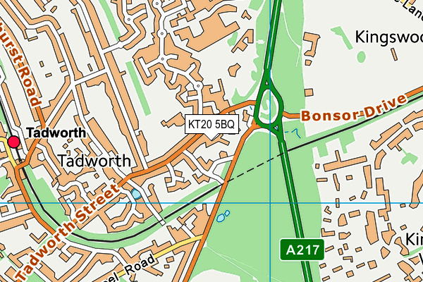 KT20 5BQ map - OS VectorMap District (Ordnance Survey)