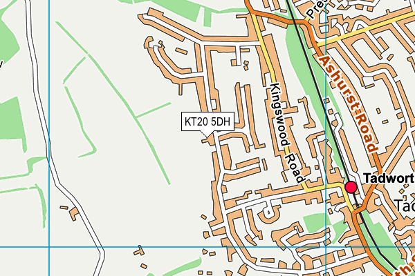 KT20 5DH map - OS VectorMap District (Ordnance Survey)