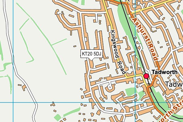 KT20 5DJ map - OS VectorMap District (Ordnance Survey)