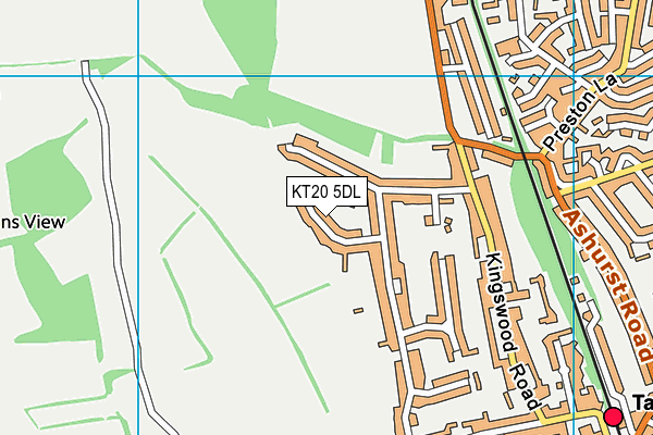 KT20 5DL map - OS VectorMap District (Ordnance Survey)