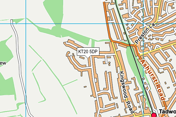 KT20 5DP map - OS VectorMap District (Ordnance Survey)