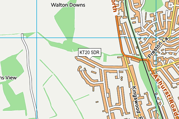 KT20 5DR map - OS VectorMap District (Ordnance Survey)