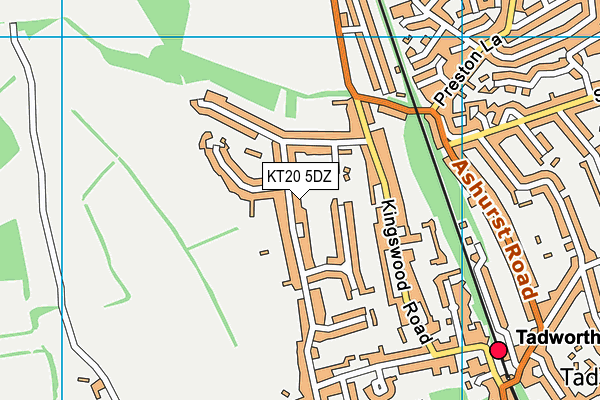 KT20 5DZ map - OS VectorMap District (Ordnance Survey)