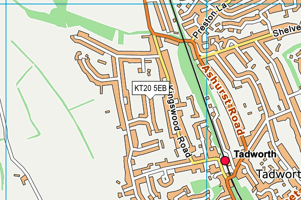 KT20 5EB map - OS VectorMap District (Ordnance Survey)