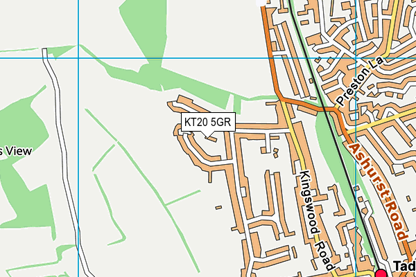 KT20 5GR map - OS VectorMap District (Ordnance Survey)
