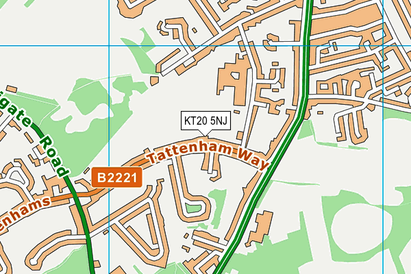 Tattenham Way Recreation Ground map (KT20 5NJ) - OS VectorMap District (Ordnance Survey)