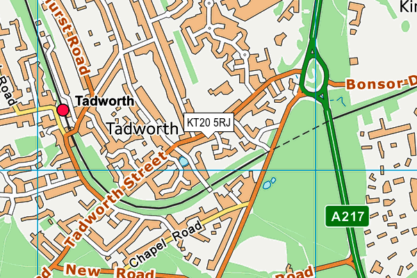 KT20 5RJ map - OS VectorMap District (Ordnance Survey)