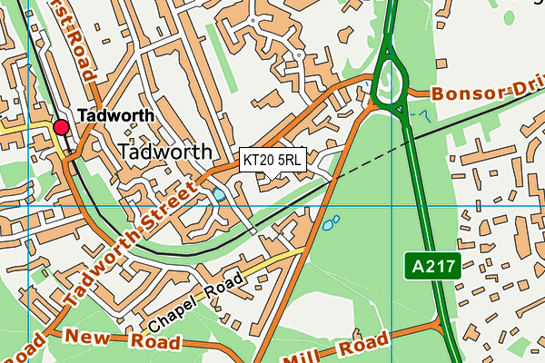 KT20 5RL map - OS VectorMap District (Ordnance Survey)