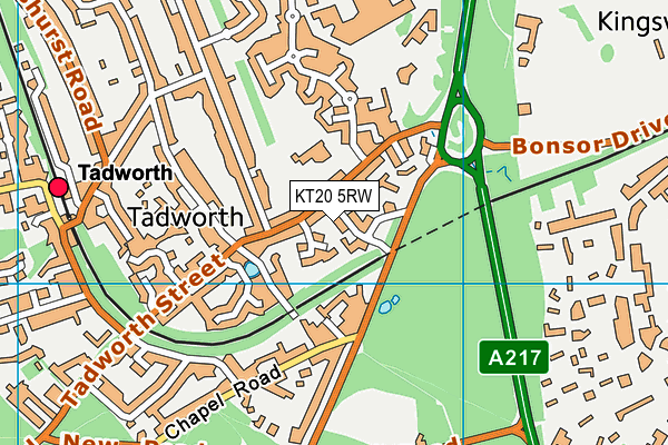 KT20 5RW map - OS VectorMap District (Ordnance Survey)