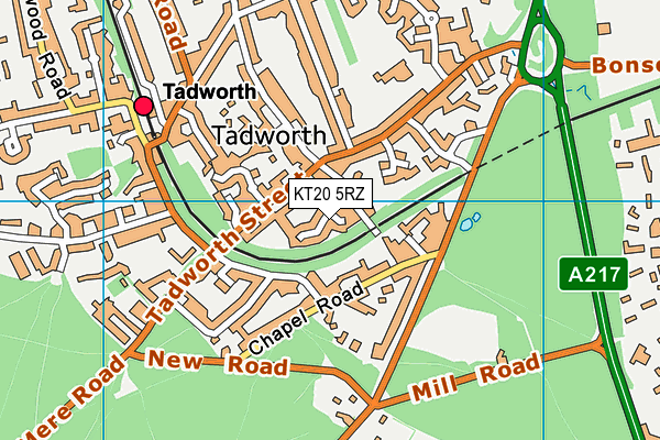 KT20 5RZ map - OS VectorMap District (Ordnance Survey)