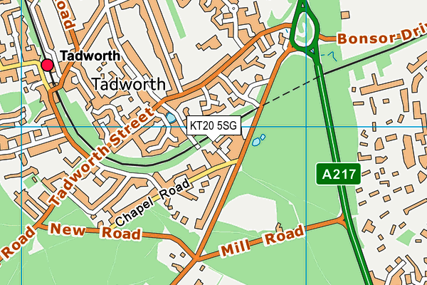 KT20 5SG map - OS VectorMap District (Ordnance Survey)