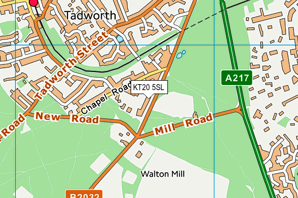 KT20 5SL map - OS VectorMap District (Ordnance Survey)