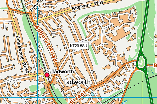 KT20 5SU map - OS VectorMap District (Ordnance Survey)